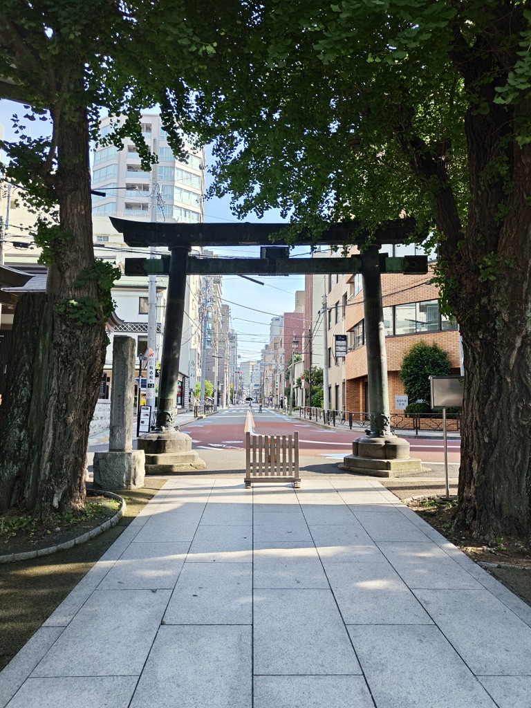 Image 10
